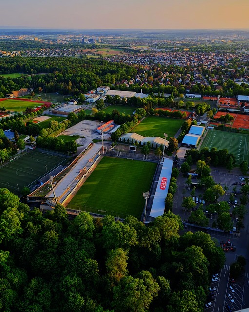 开拓者队若 开拓者队若