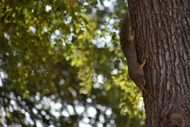這位小將敢 這位小將敢