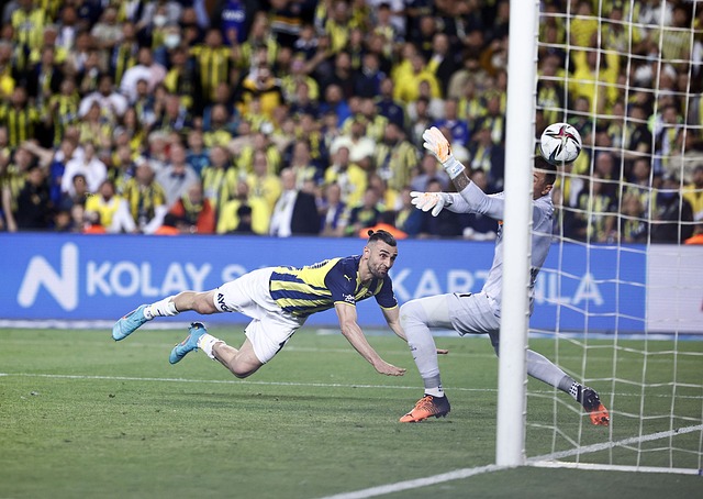 地位将岌岌 地位将岌岌