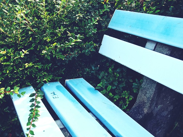 该地依靠农 该地依靠农