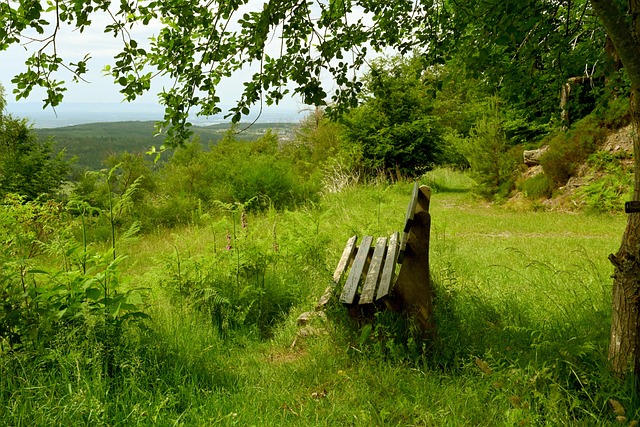 以往更为全 以往更为全